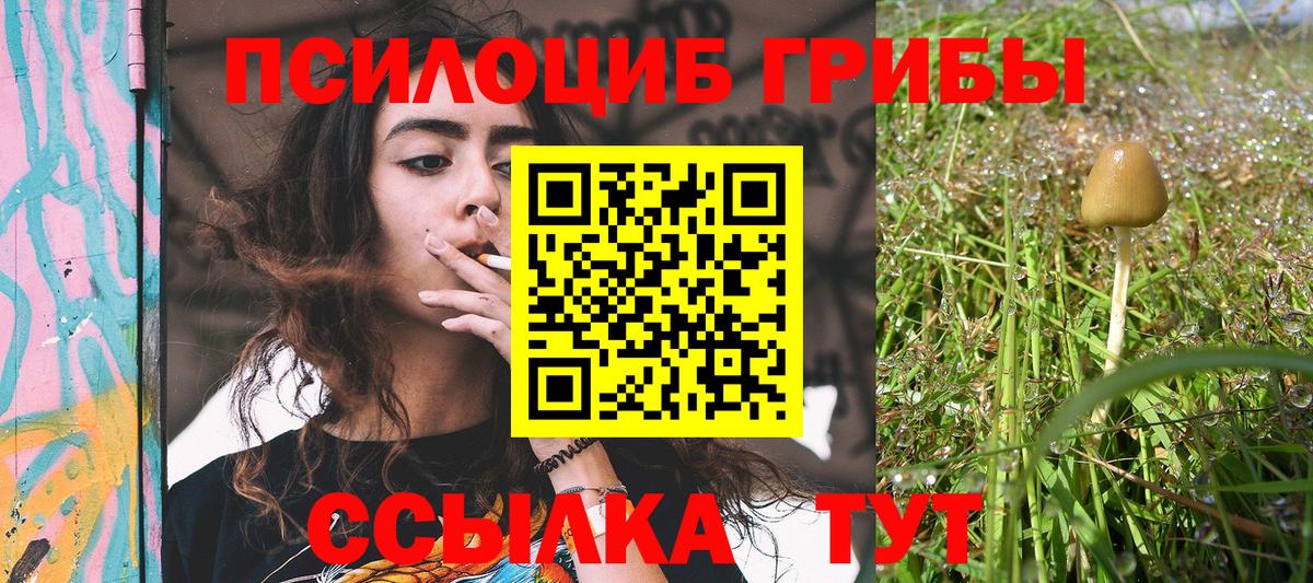 Псилоцибиновые грибы Psilocybine cubensis  Вход с VPN  Галлюциногенные грибы Psilocybine cubensis  Симферополь 