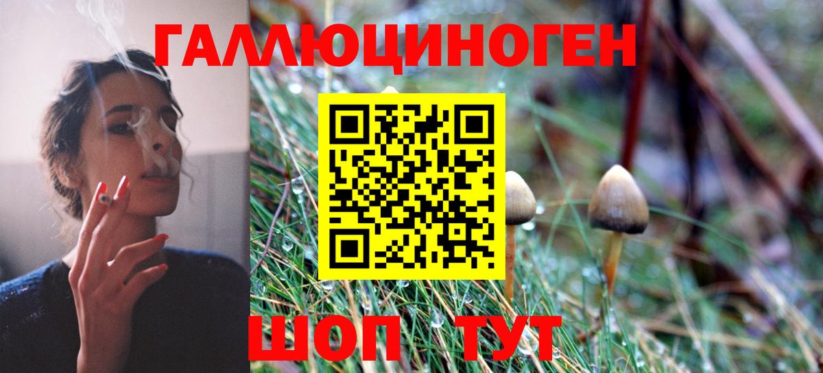 Псилоцибиновые грибы MAGIC MUSHROOMS Симферополь